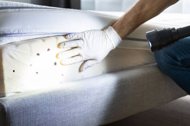 Burlington, IA Pest Control Company